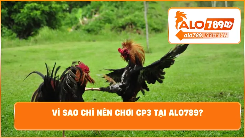 Vì sao chỉ nên chơi CP3 tại ALO789?